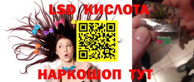 стафф Гусев