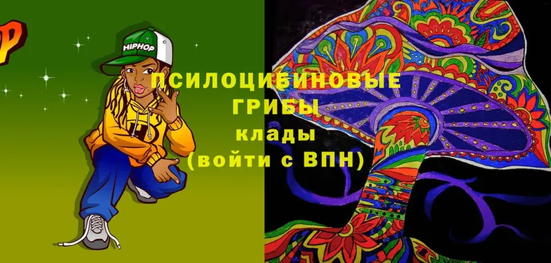 как найти закладки  omg как войти  Псилоцибиновые грибы Psilocybine cubensis  Красноармейск 