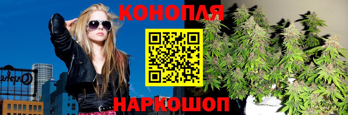 Шишки марихуана Amnesia Красноармейск
